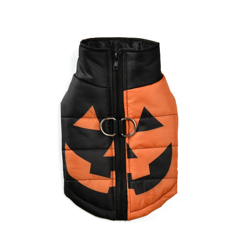 Halloween Pet Costume