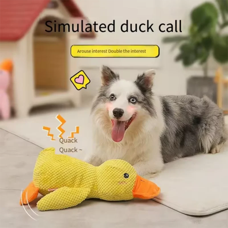 Dog duck toy