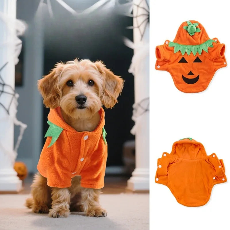 New Halloween Pet Costume Pumpkin