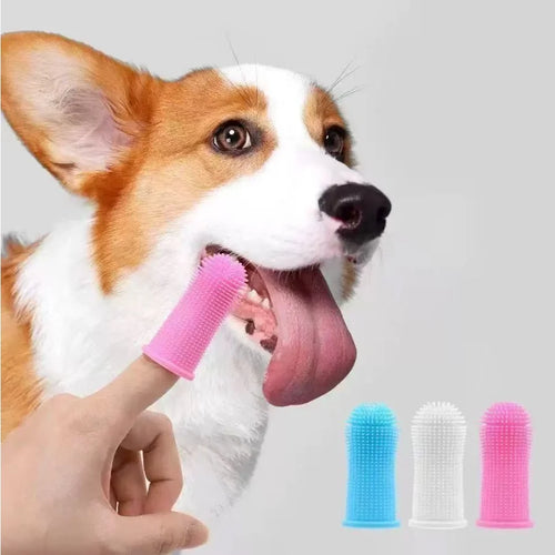3-Sided Pet Toothbrush