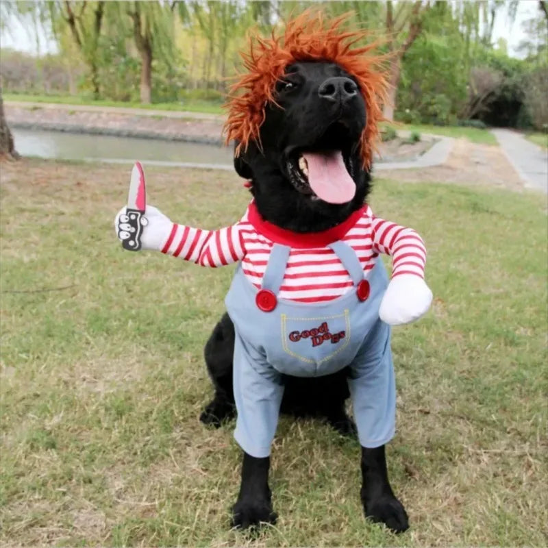 Pet Halloween Costume