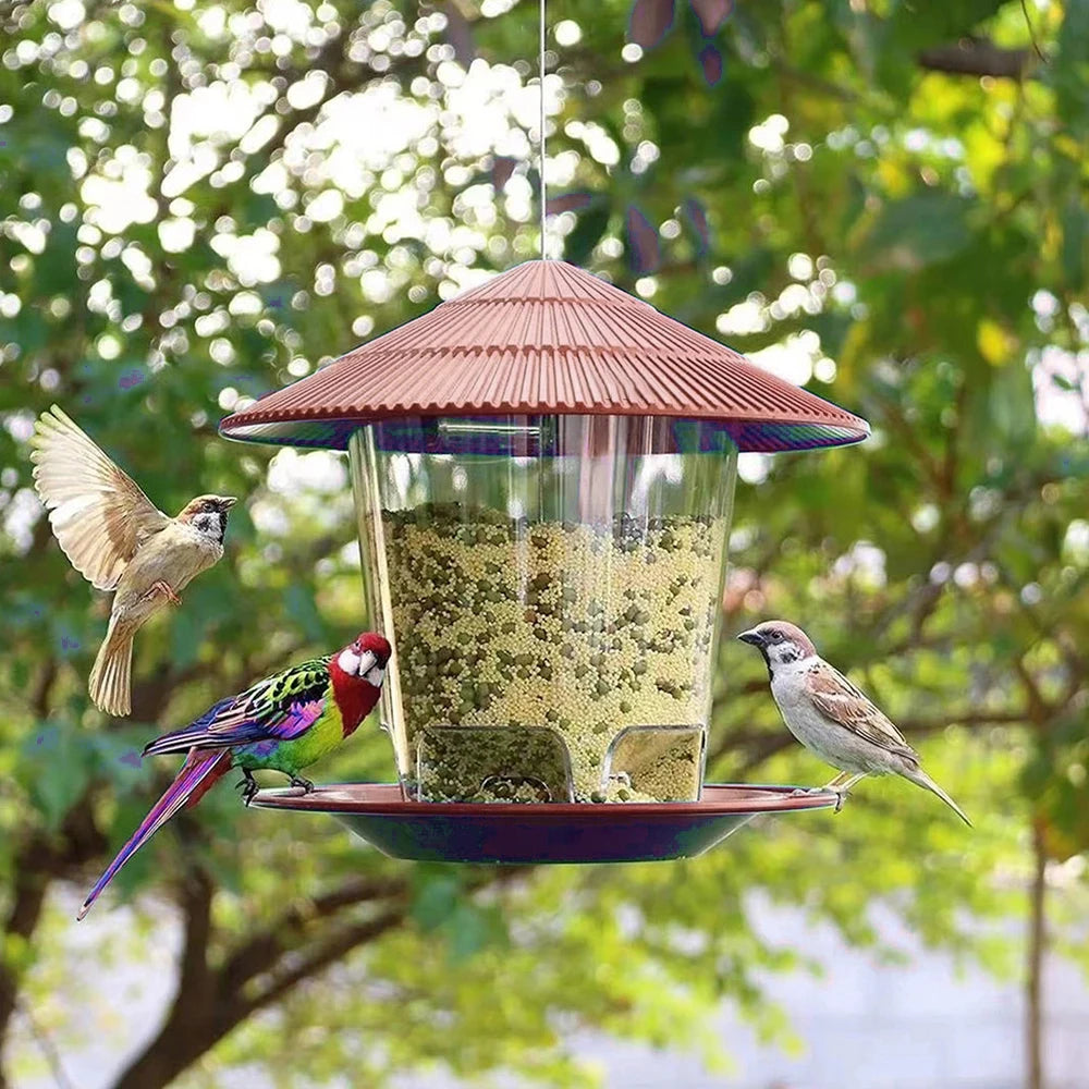 Bird Feeder