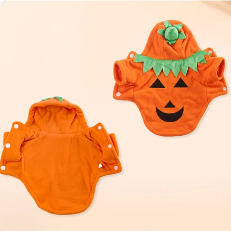 New Halloween Pet Costume Pumpkin