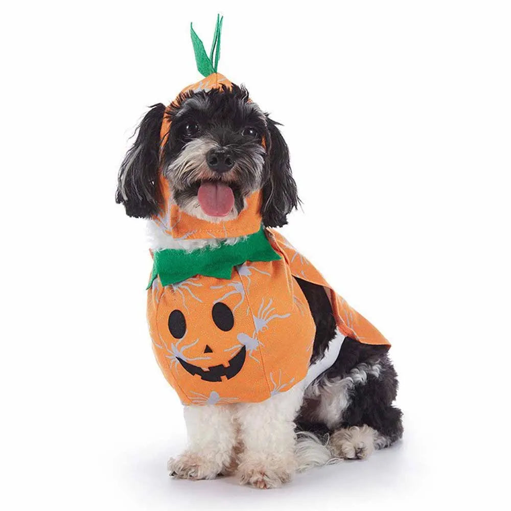 Halloween Pet Costume With Hat