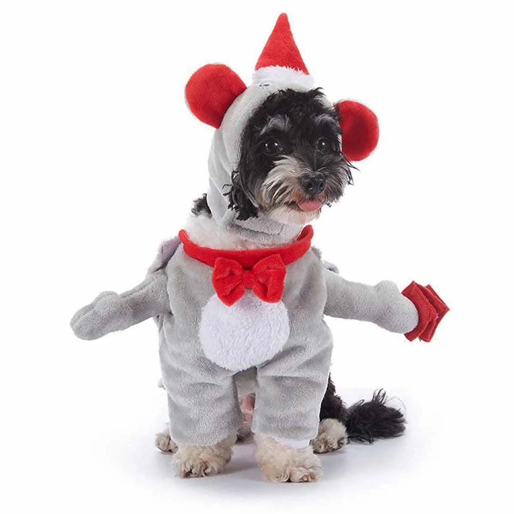 Halloween Pet Costume With Hat