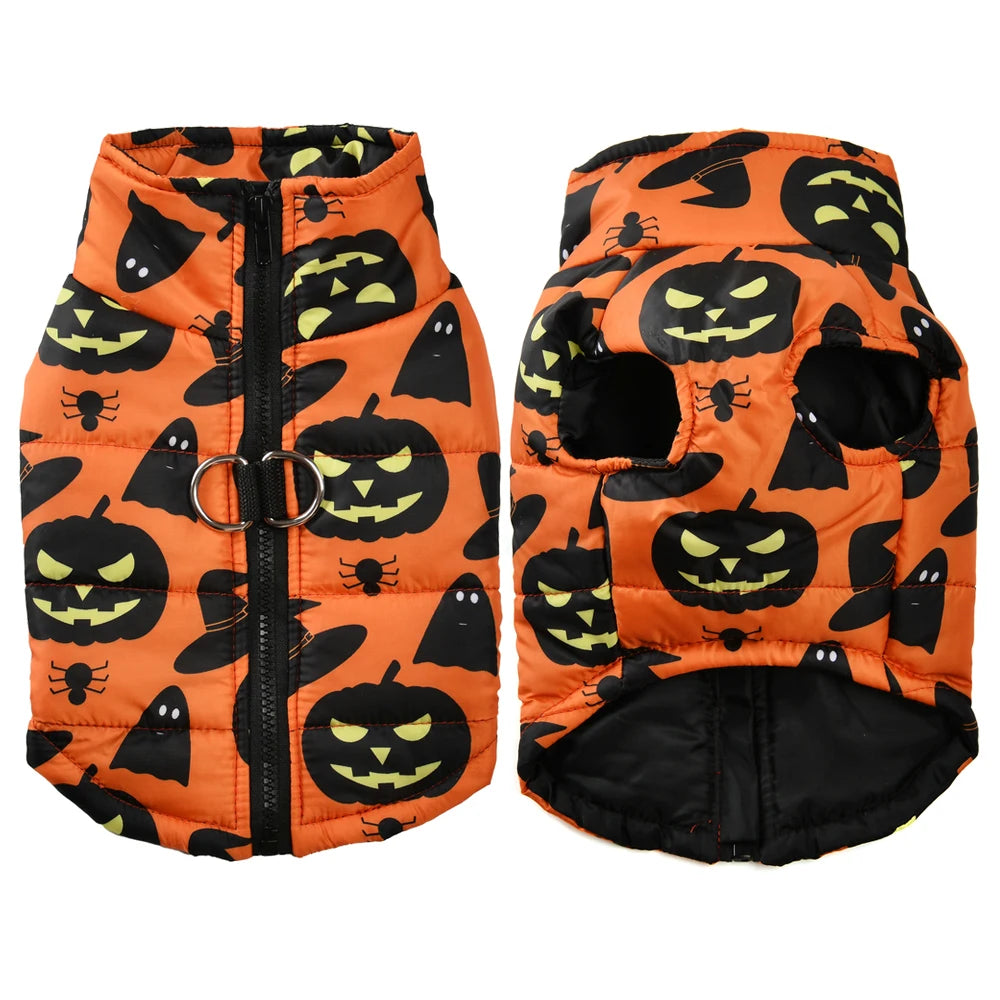 Halloween Pet Costume