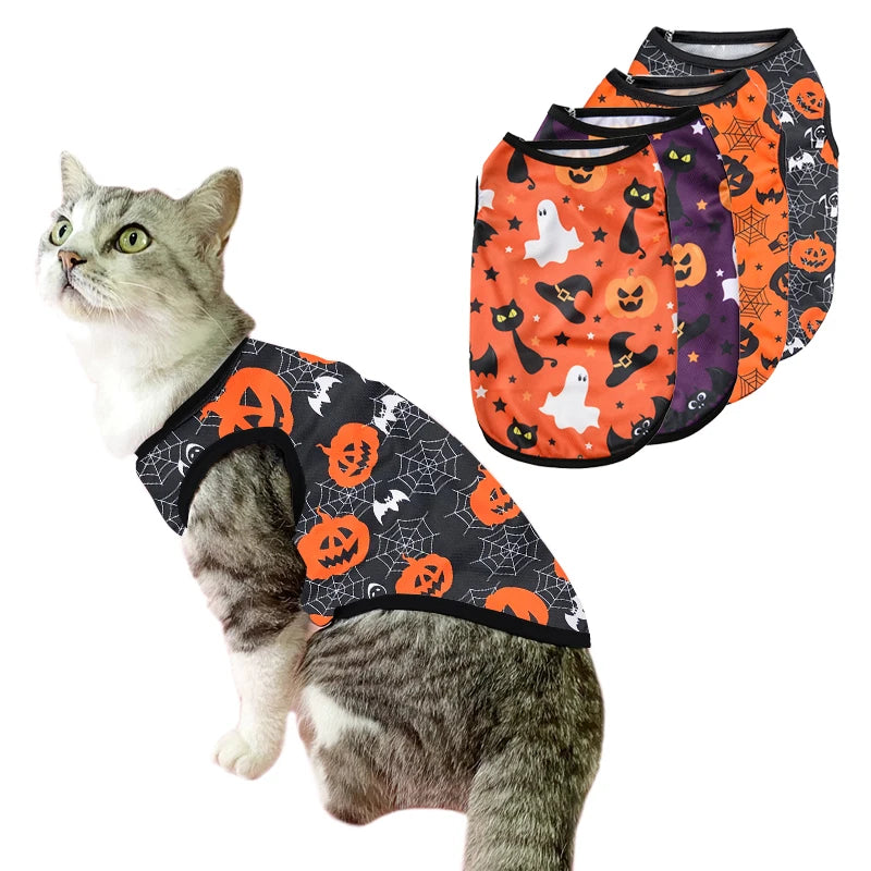 Halloween Pet Costume